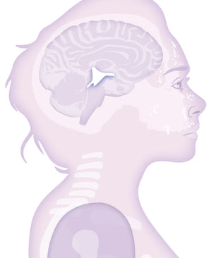 Inside Your Body